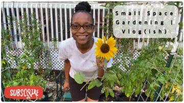 [ID: vtravEqpLqY] Youtube Automatic