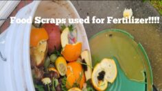 [ID: vxUI5C4FUFo] Youtube Automatic