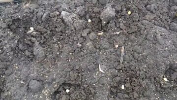 [ID: VYSKHUOyc08] Youtube Automatic