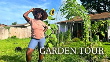 [ID: w-WyXidRjQU] Youtube Automatic