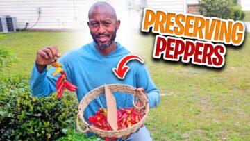 [ID: W8ay8fqAXtM] Youtube Automatic