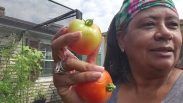 [ID: w_bKVEdhzHw] Youtube Automatic