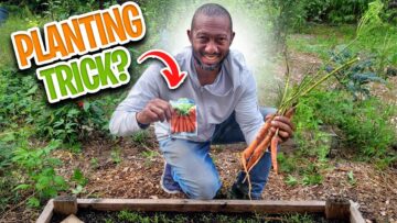 [ID: WbK_XGTtuWQ] Youtube Automatic