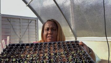 [ID: WC0iqS7zib4] Youtube Automatic