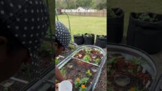 [ID: wGqjXCKzpG8] Youtube Automatic