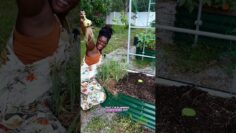 [ID: wiocptHE480] Youtube Automatic