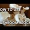 Growing Mushrooms at Home! | Urban Homesteading