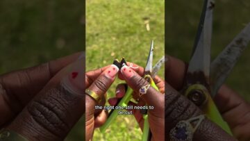 [ID: WnCoiVQ5T18] Youtube Automatic