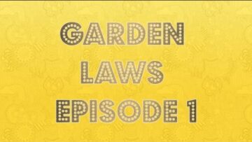 [ID: WOhhHU4DSbQ] Youtube Automatic