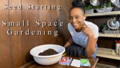 [ID: WU7vB6AFJco] Youtube Automatic