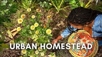 [ID: WuviH__uMAk] Youtube Automatic