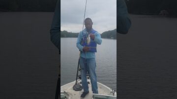 [ID: wWAOUQ0fnLk] Youtube Automatic