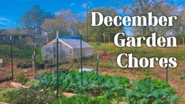 [ID: W_xoaZUzTyQ] Youtube Automatic