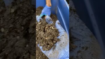 [ID: wYHYBypYkCQ] Youtube Automatic