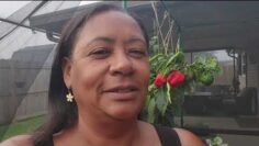 [ID: wz5YqTuYqaU] Youtube Automatic