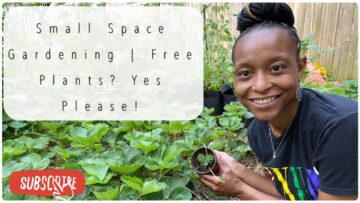 [ID: WzhKeH8VJIo] Youtube Automatic