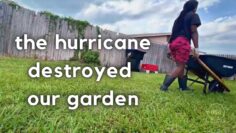 [ID: wzWwM-ECq3w] Youtube Automatic