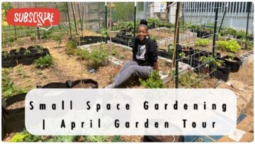 [ID: -X-StkKQtJo] Youtube Automatic