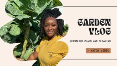 [ID: X1HRUJhWkXI] Youtube Automatic