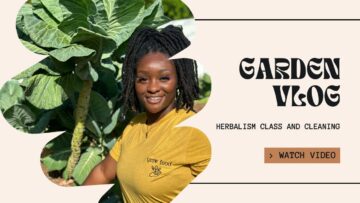 [ID: X1HRUJhWkXI] Youtube Automatic