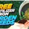 How to Make Free Fertilizer from Weeds? 🌿 🌿 🌿