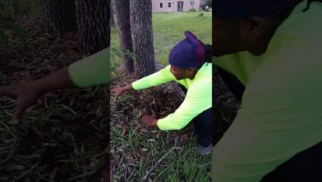 [ID: X3zeDcaCl6Y] Youtube Automatic