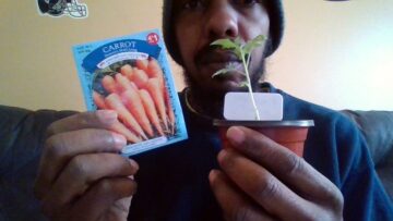 [ID: X49ikalqyRY] Youtube Automatic