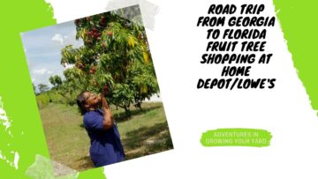 [ID: Xe30eS-GHjk] Youtube Automatic