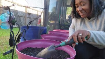 [ID: xf7uu-2QthE] Youtube Automatic