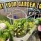 Start Your Winter Garden Today & Still Get A Big Harvest | It’s Never Too Late