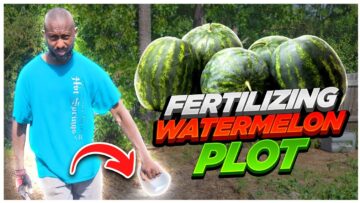 [ID: xMAjcXFmi4A] Youtube Automatic