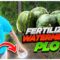How to Fertilize the Watermelon Plot after the Growing Season? 🍉 🍉 🍉