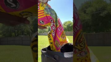 [ID: XNuHiaf9_s0] Youtube Automatic