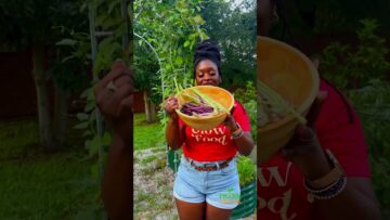 [ID: XQ3WpMX7ZHA] Youtube Automatic