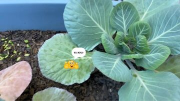 [ID: xqEw5mcsqPQ] Youtube Automatic