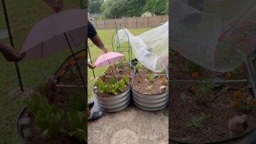 [ID: XQK91MrHDPg] Youtube Automatic