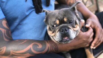 [ID: xqNmTV0g0G4] Youtube Automatic