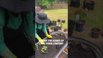 [ID: xs5gkC0CMs4] Youtube Automatic