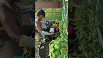 [ID: XuILZU_Oi4M] Youtube Automatic