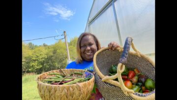 [ID: xY__d2Y7ZAQ] Youtube Automatic