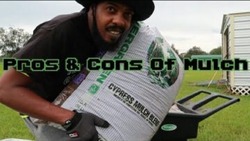 [ID: xY_g4sfz3N4] Youtube Automatic