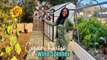 [ID: y0f1eERUvdA] Youtube Automatic