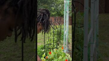 [ID: y0M6BixDMqo] Youtube Automatic