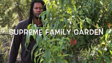 [ID: y15AVvpXc7g] Youtube Automatic