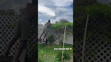 [ID: y3cgA8R5Xro] Youtube Automatic