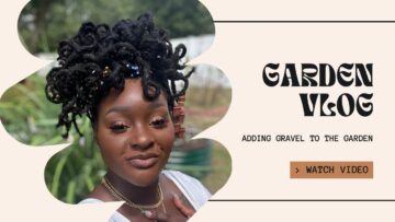 [ID: Y421KjxFv0c] Youtube Automatic