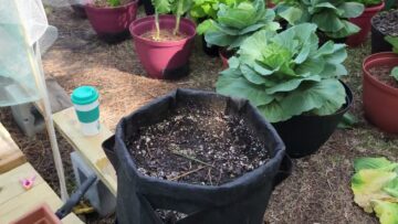 [ID: _yb4XjjYhS8] Youtube Automatic