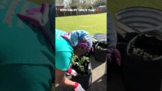 [ID: Yci6R1A7l9A] Youtube Automatic