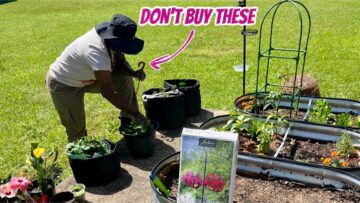 [ID: YGSCH_9WKNo] Youtube Automatic