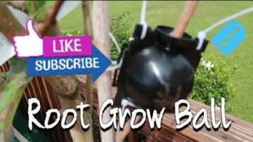 [ID: YHA-9NGu0E0] Youtube Automatic